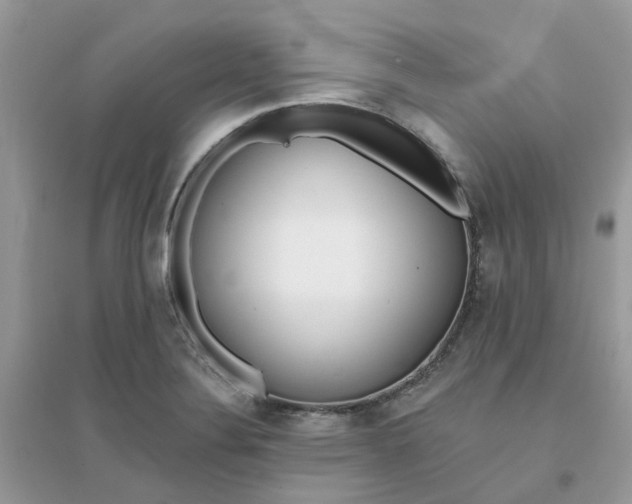 X0000096151324200802011224