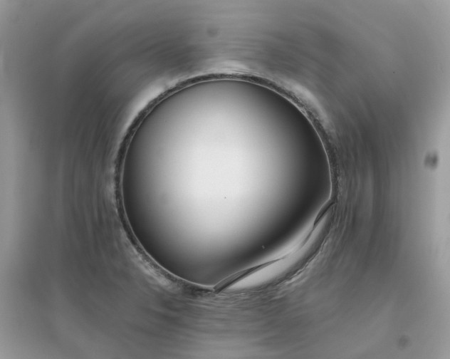 X0000096151326200802011224