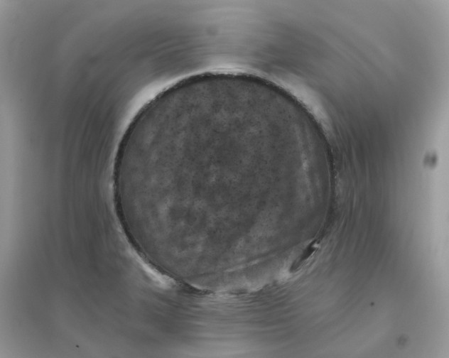 X0000096151327200802011224