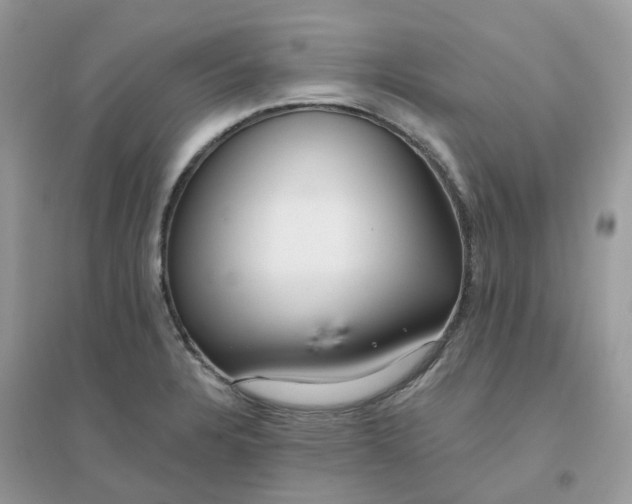 X0000096151328200802011224