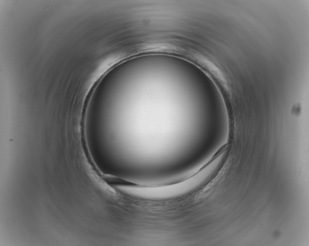 X0000096151330200802011224