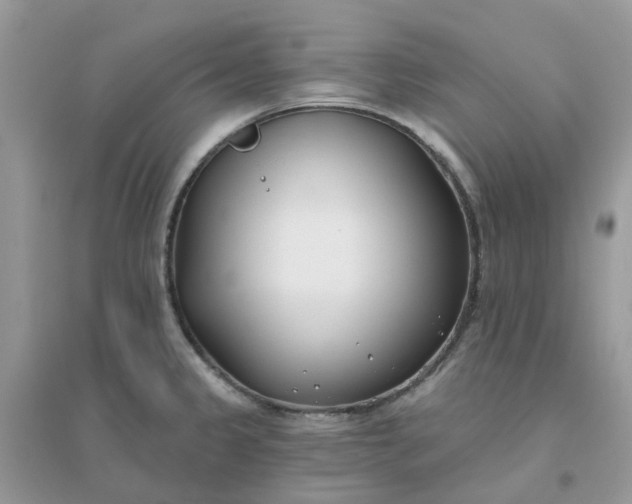 X0000096151333200802011224