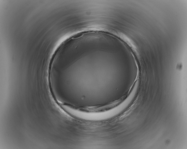 X0000096151334200802011224
