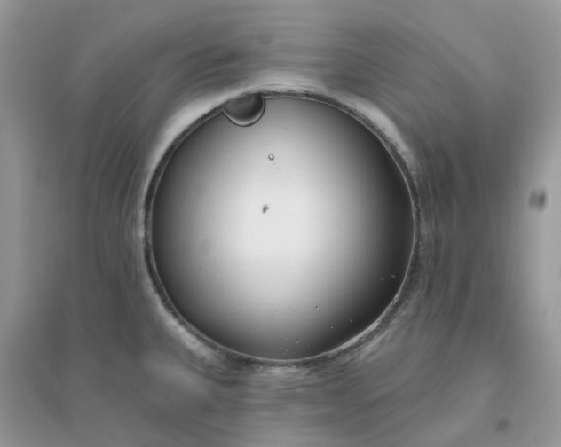 X0000096151335200802011224