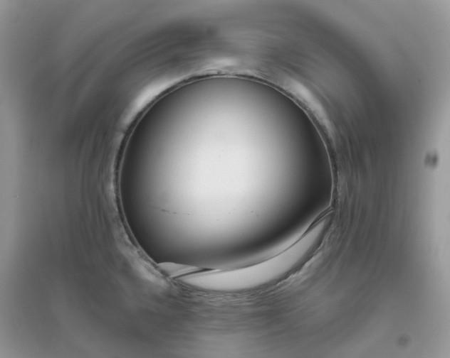 X0000096151336200802011224