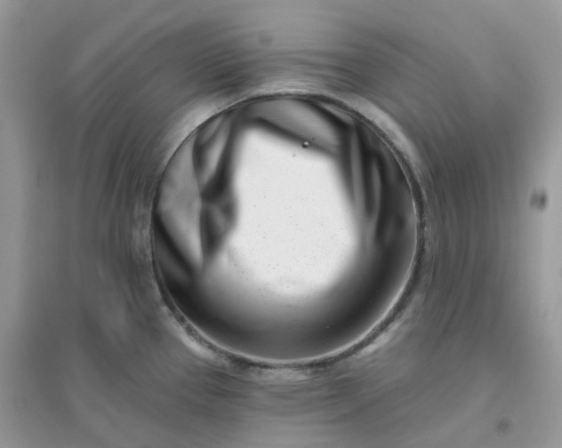 X0000096151337200802011224