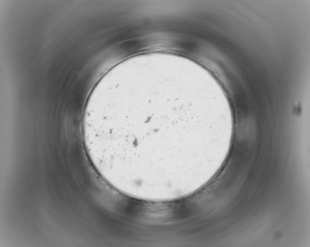 X0000096151338200802011224