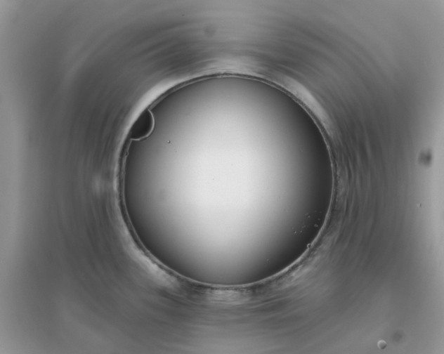 X0000096151339200802011224