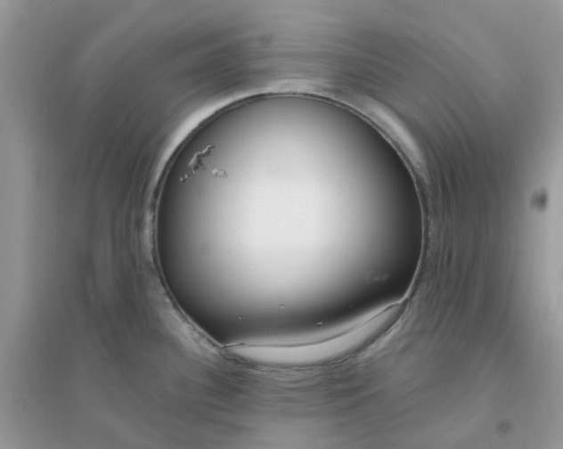 X0000096151340200802011224