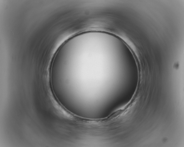 X0000096151341200802011224