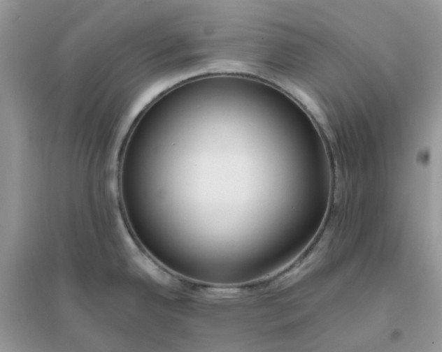X0000096151342200802011224