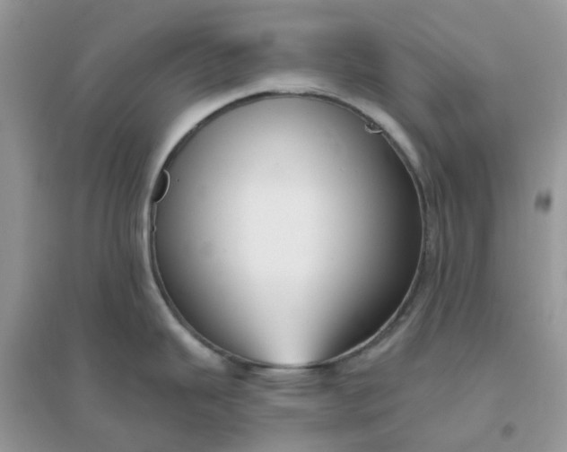 X0000096151343200802011224