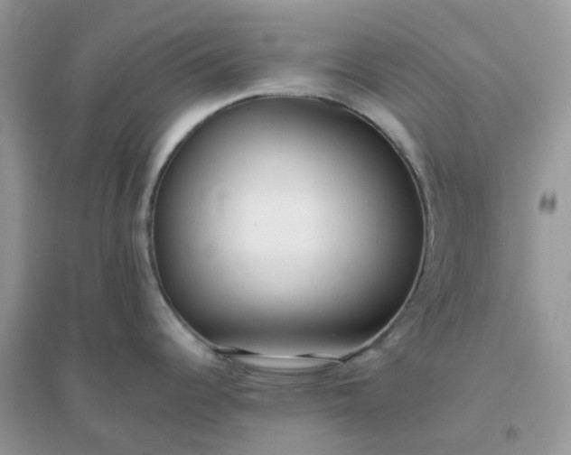 X0000096151344200802011224