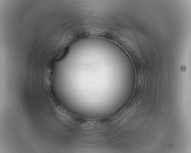 X0000096151346200802011224