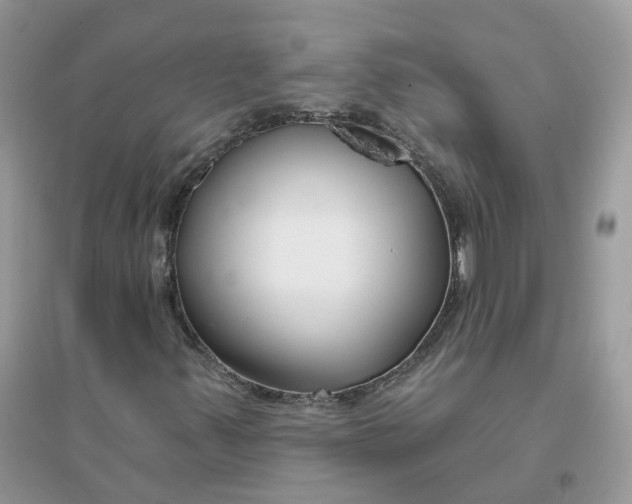 X0000096151347200802011224
