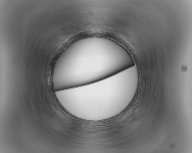 X0000096151348200802011224