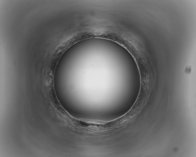 X0000096151349200802011224