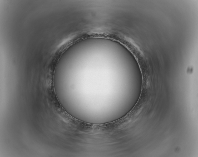X0000096151350200802011224