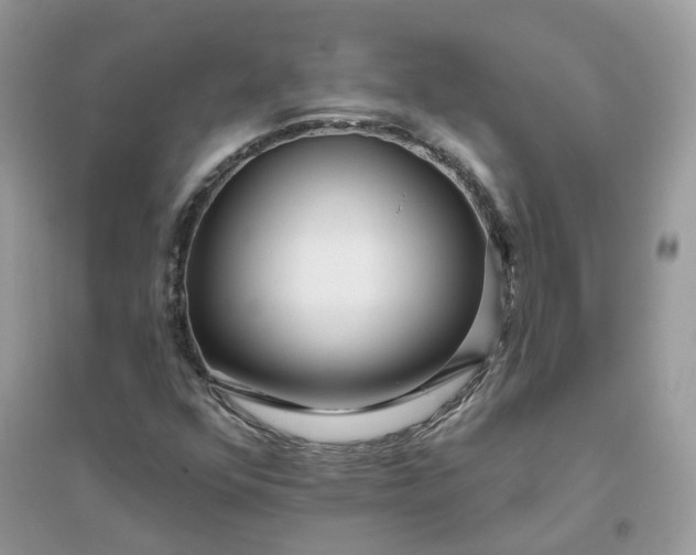 X0000096151352200802011224