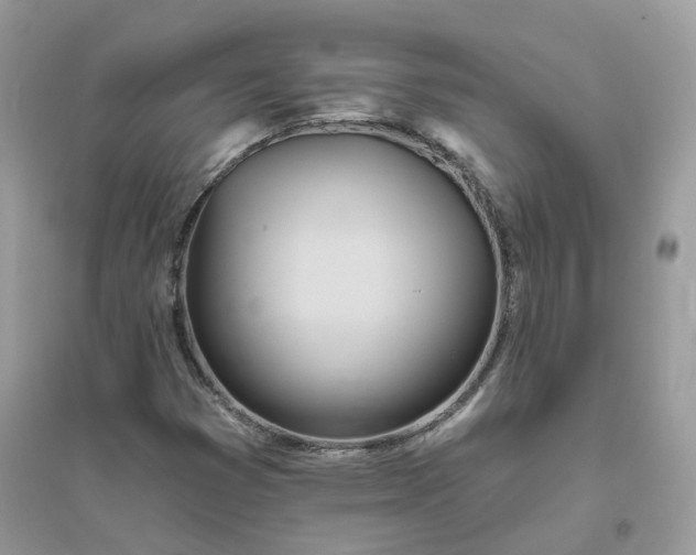 X0000096151353200802011224