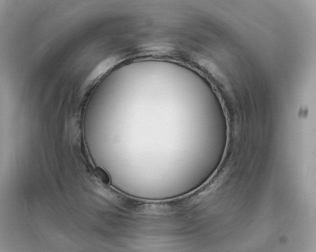 X0000096151354200802011224