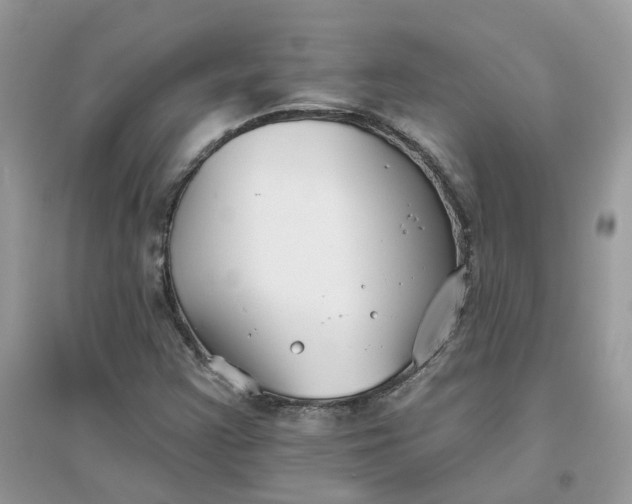 X0000096151355200802011224