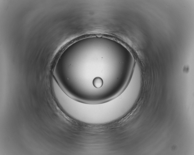 X0000096151356200802011224