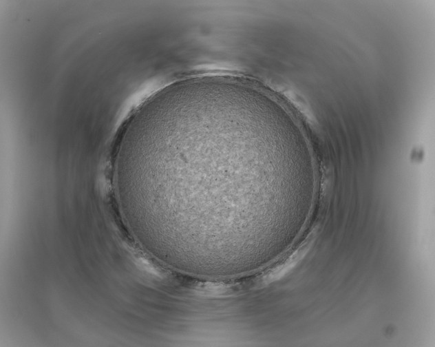 X0000096151357200802011223