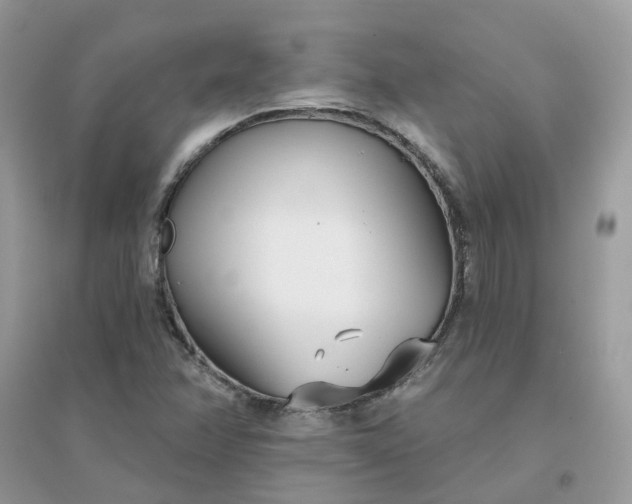 X0000096151358200802011223