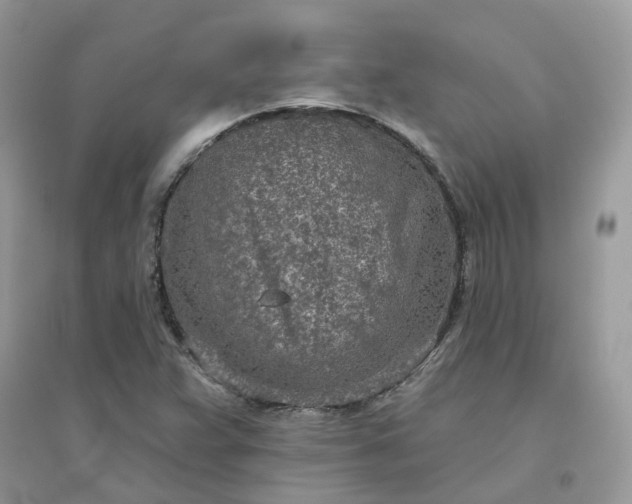 X0000096151359200802011223