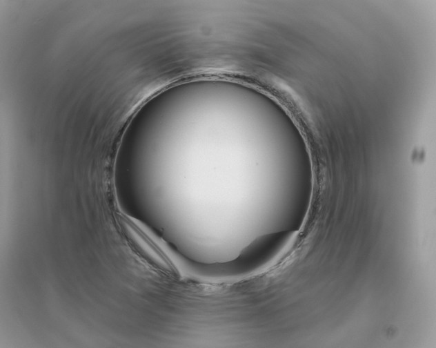 X0000096151361200802011223