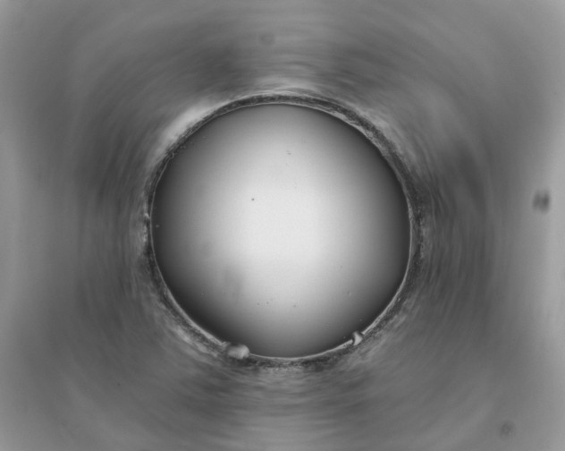 X0000096151363200802011223