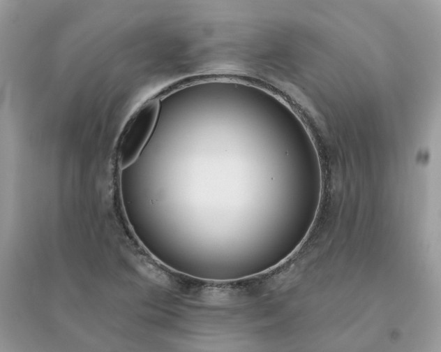X0000096151364200802011223