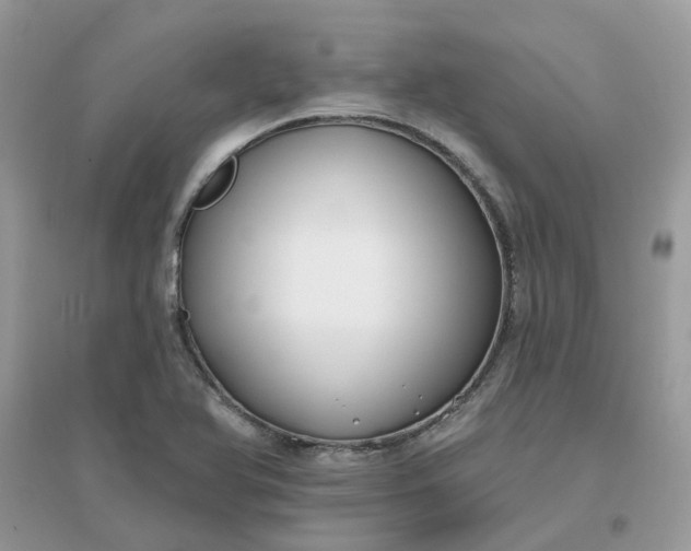 X0000096151366200802011223