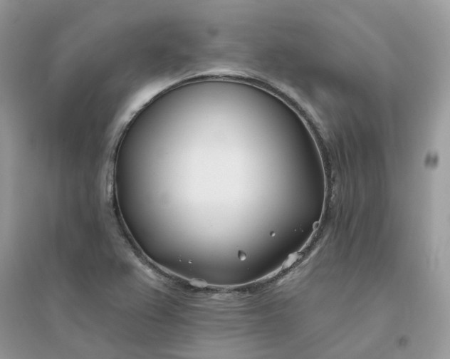 X0000096151367200802011223