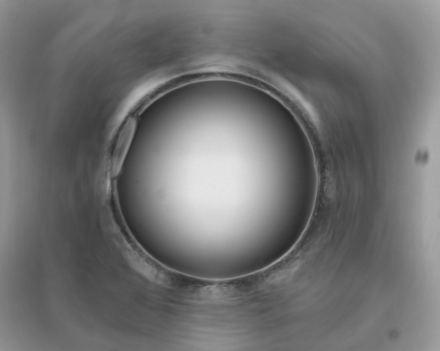 X0000096151368200802011223