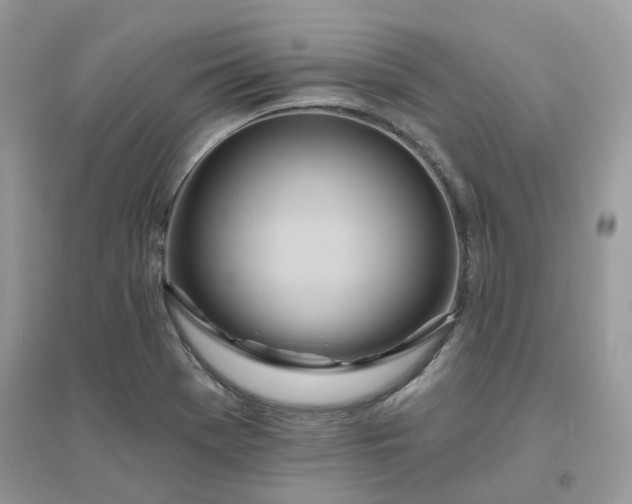 X0000096151369200802011223