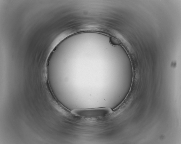 X0000096151370200802011223