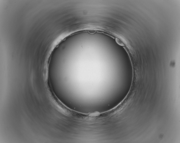 X0000096151371200802011223