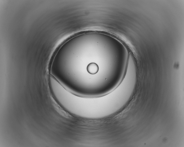 X0000096151372200802011223