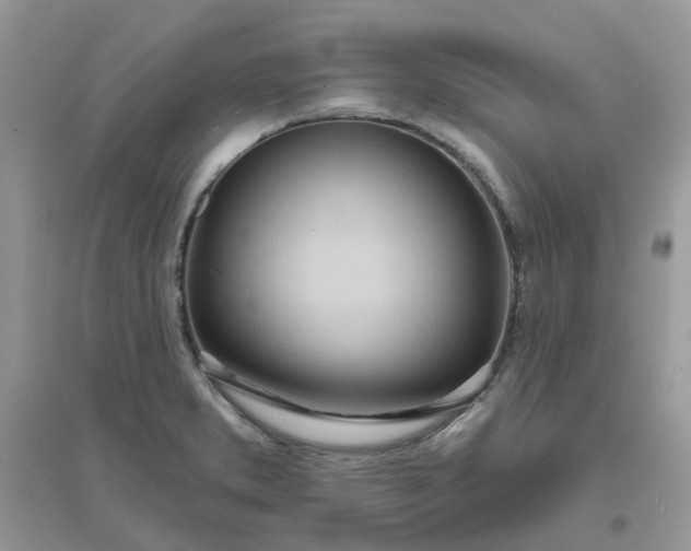 X0000096151373200802011223