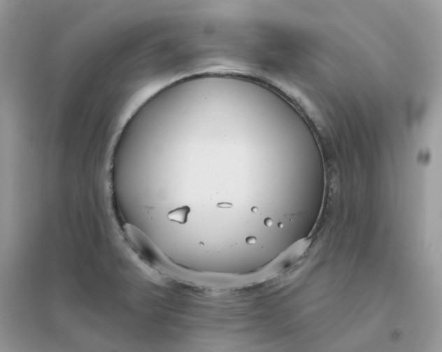 X0000096151375200802011223