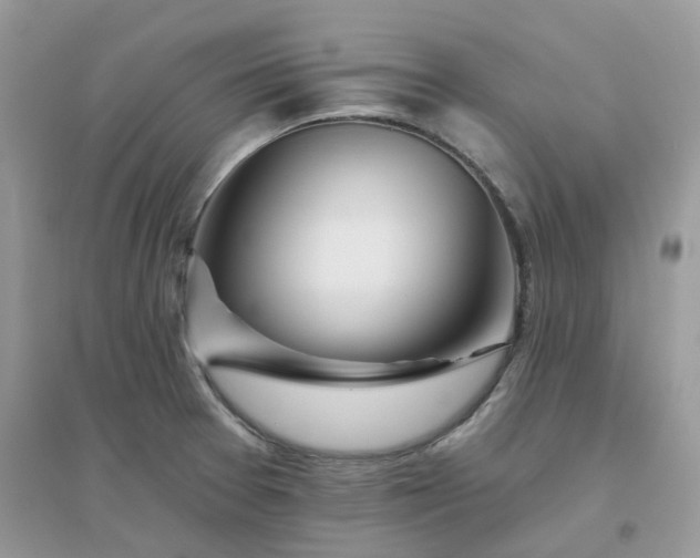 X0000096151377200802011223