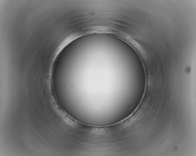 X0000096151378200802011223