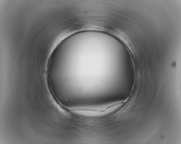 X0000096151379200802011223