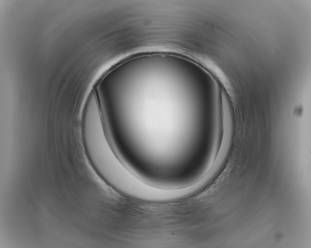 X0000096151380200802011223