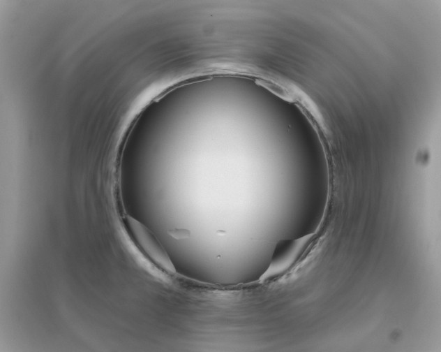 X0000096151381200802011223