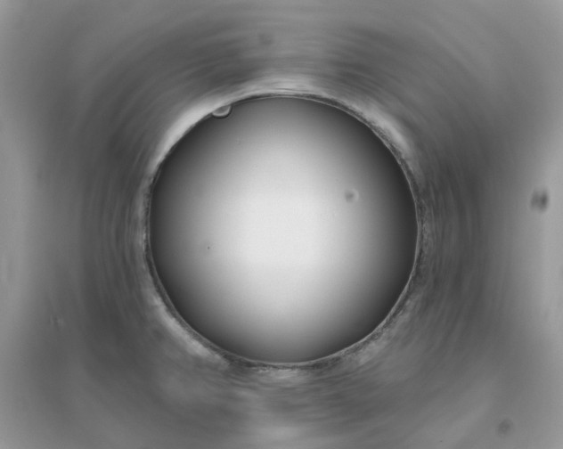 X0000096151382200802011223