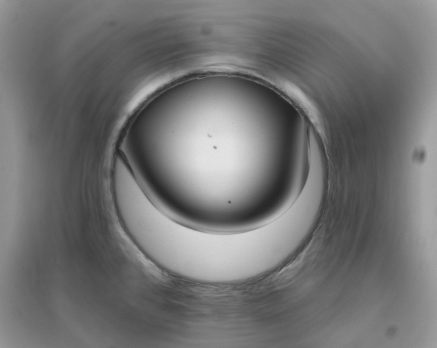 X0000096151384200802011223