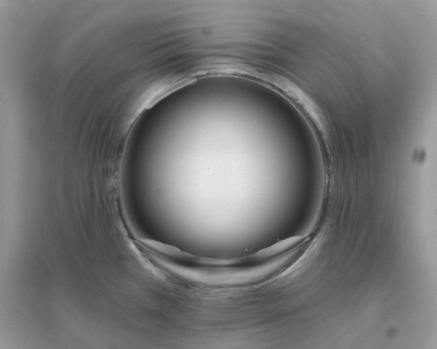 X0000096151385200802011223